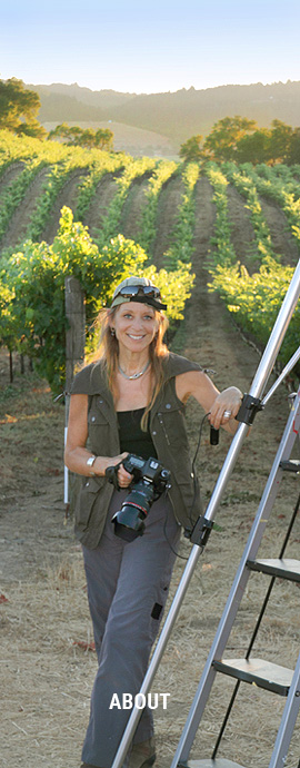 About Barbara Bourne